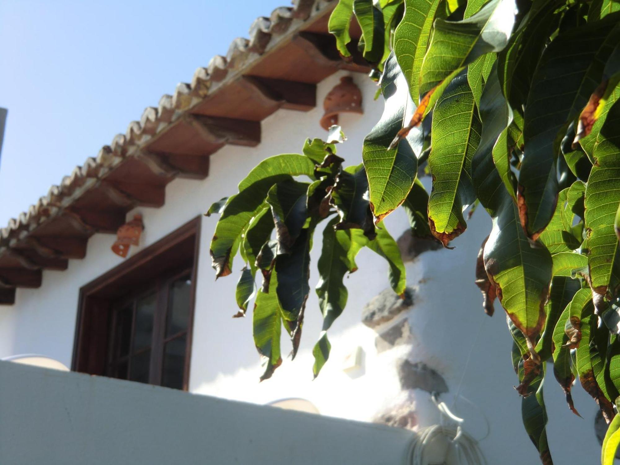 Villa Delfines Agulo 외부 사진